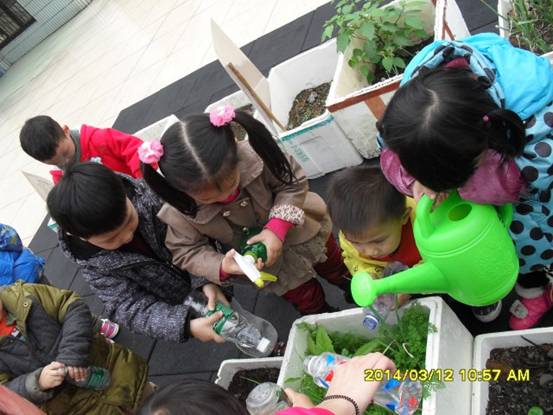 SDC14250.jpg