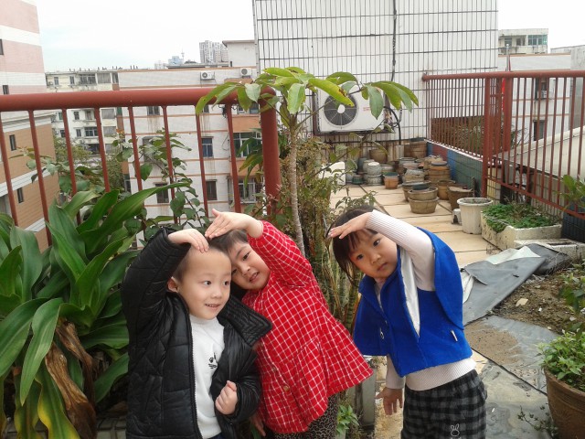 多一片绿叶，多一份温馨——外幼植树节小结