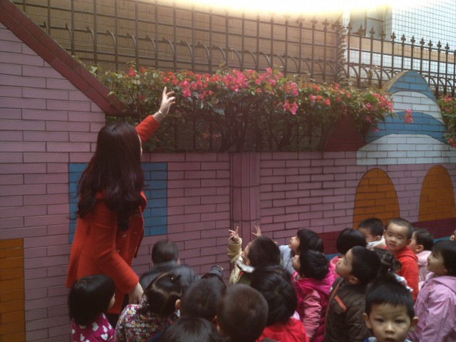小小IMG_6618.jpg