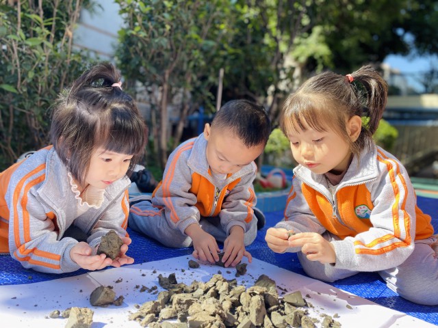 外经贸幼儿园中班主题活动记录