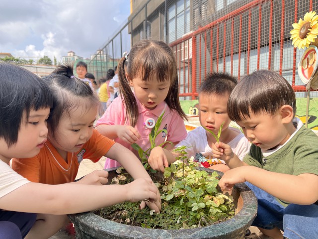 外经贸幼儿园幼儿生活自理能力比赛启动仪式