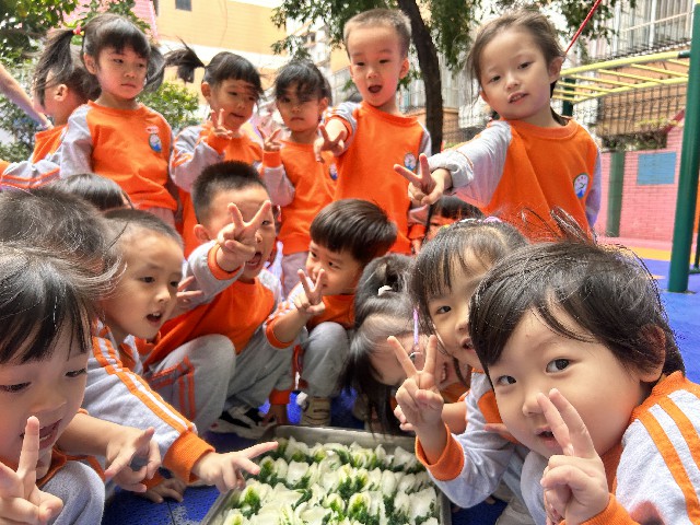 外经贸幼儿园小班级探索秋天秘密主题活动
