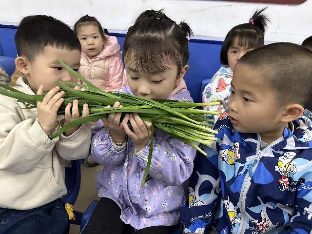 韭菜的味道