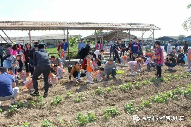 外经贸幼儿园家长委员会秋游活动小结