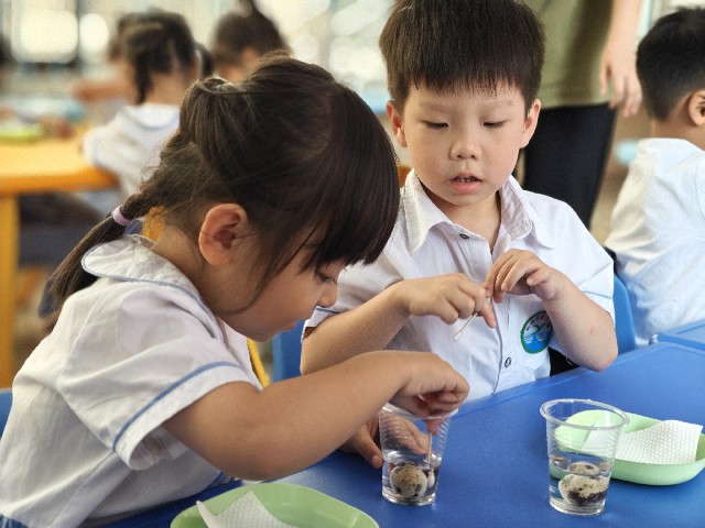 给鹌鹑蛋洗澡